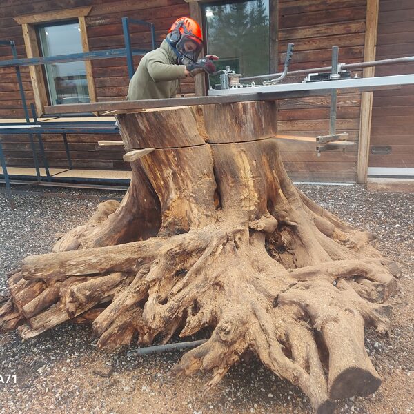 TÖÖS OLEVAD TÖÖD